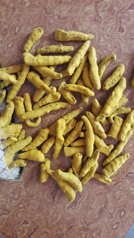 Turmaric Whole from India